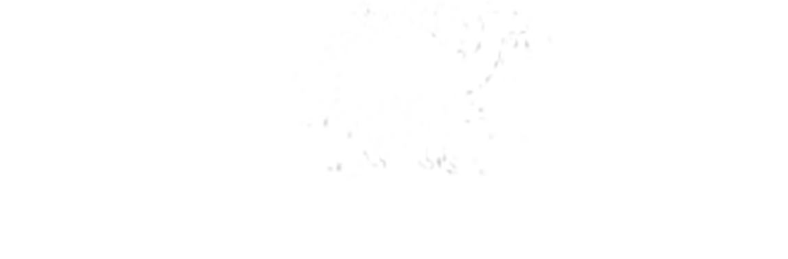 salar camel expeditions logo